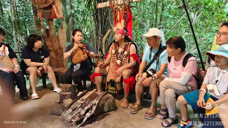 桃花初开猜一动物，探寻自然之趣与文化之韵