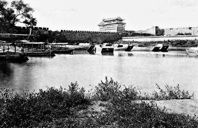 探秘非驴非马背后的生肖之谜，谁在文化长河中揭晓答案？