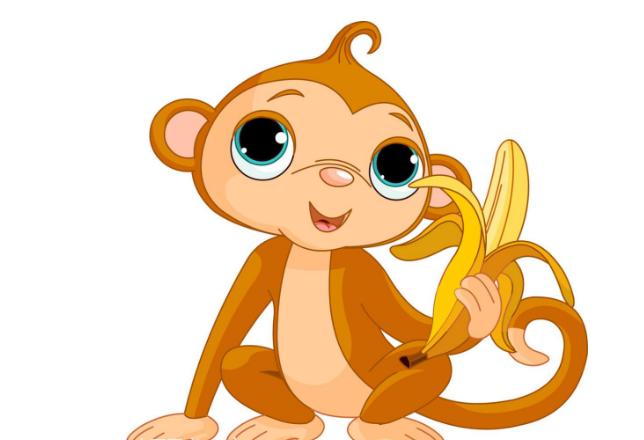 天才与生肖，探寻属相背后的智慧之光