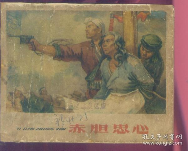 赤胆忠心，生肖背后的奥秘与解读