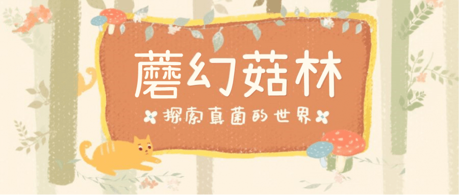 牛鬼蛇神猜生肖，一场文化与智慧的奇妙之旅