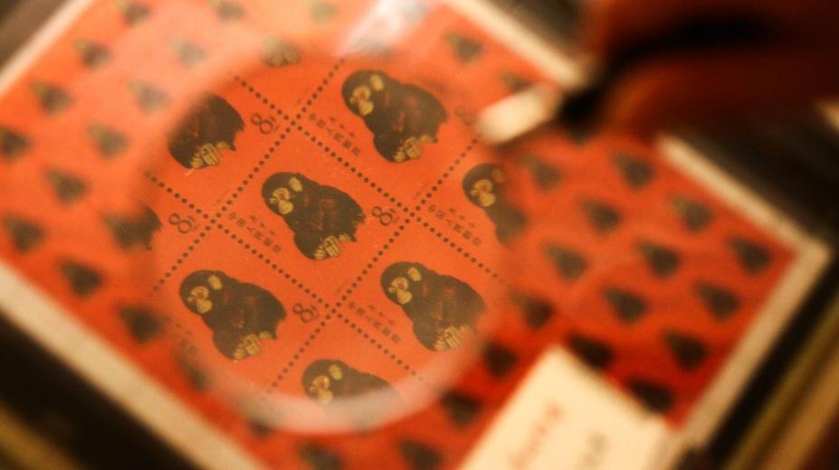 庚申日属什么生肖，谜底即将揭晓