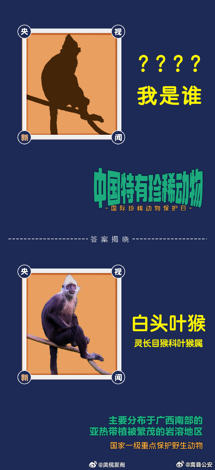 谜语探秘，一日之长猜动物