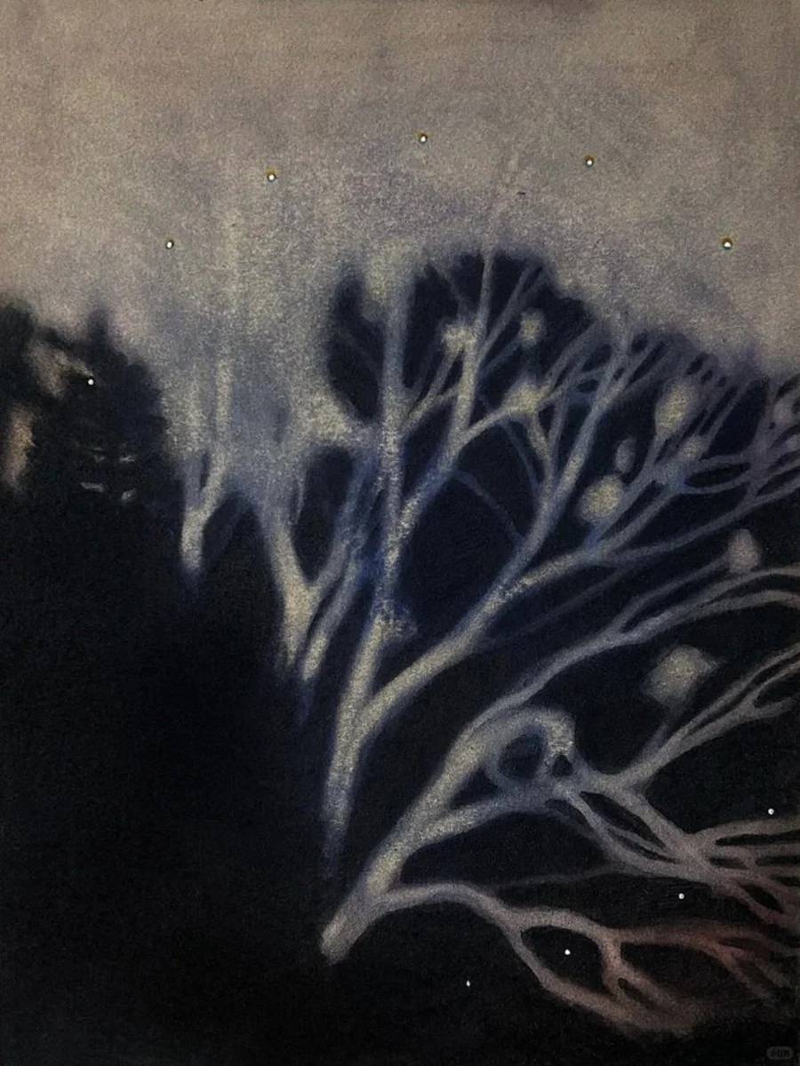 十二生肖中的水肖，深邃与灵动的象征