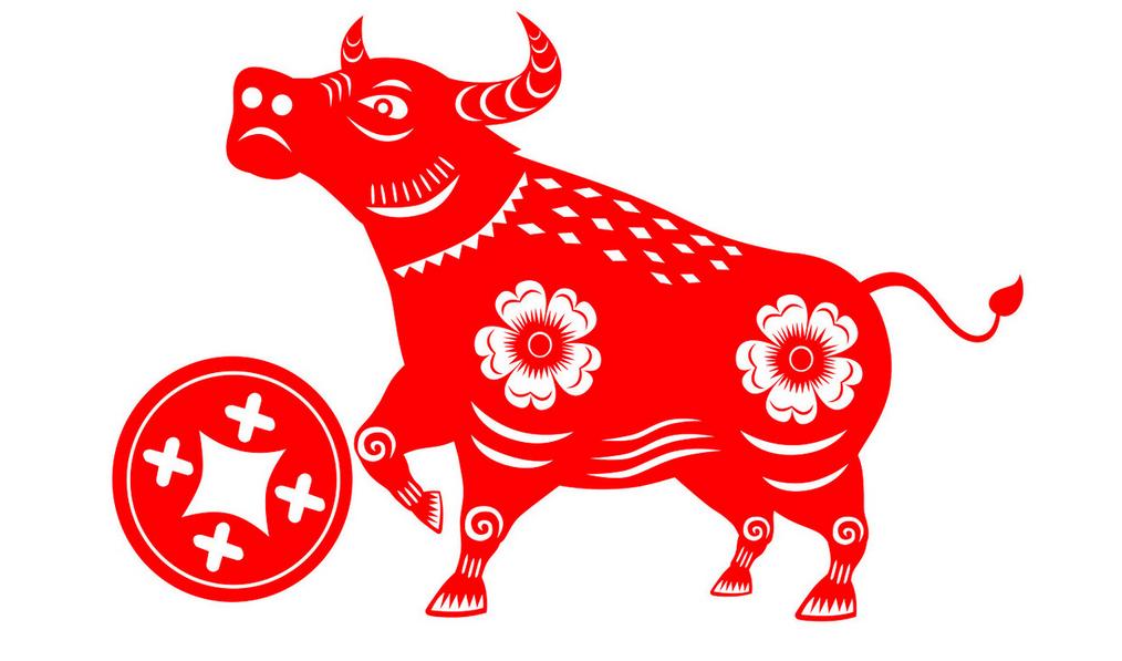 夏日之灵，生肖与夏日的深度解析与落实