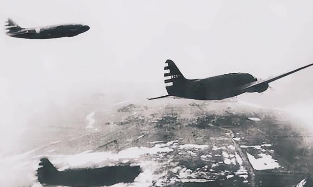 揭不开锅的谜团，一只老鼠的启示与人生哲理深度解析