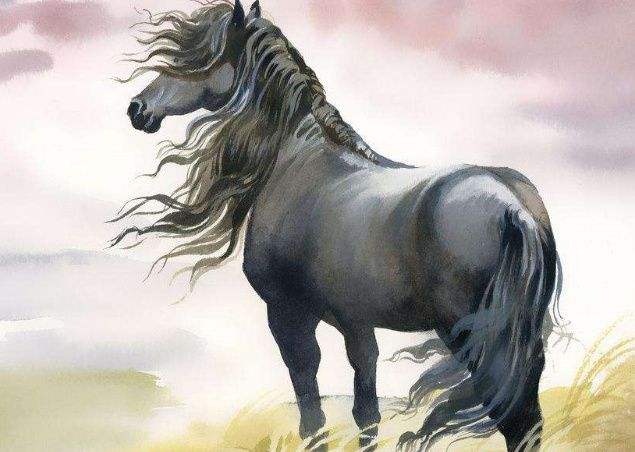 弱不禁风中的生肖智慧与策略