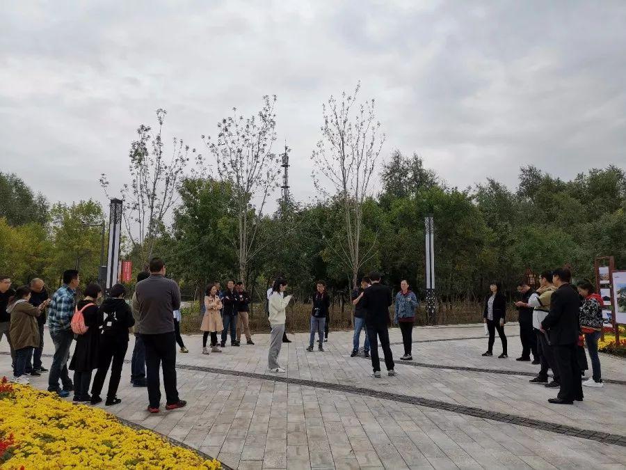 人强马壮是指什么生肖，积极作答，落实解释