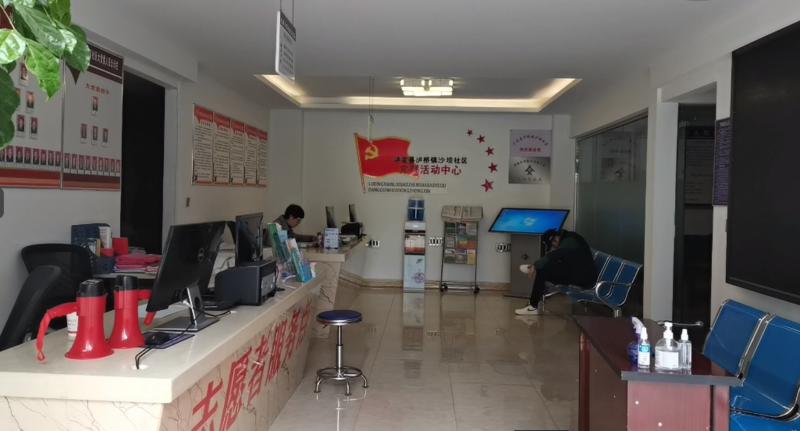 随心所欲打一生肖，成就解释落实