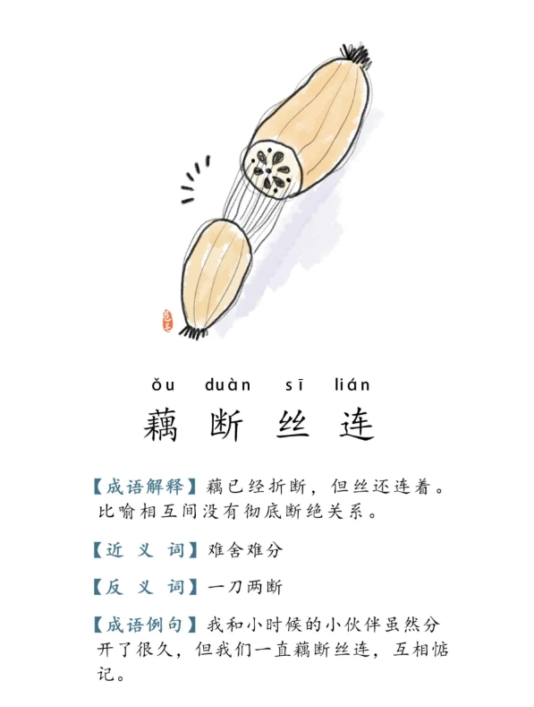 藕断丝连代表什么生肖，谜底即将揭晓