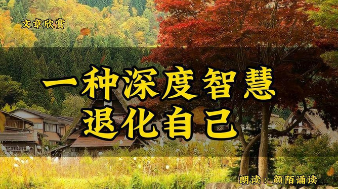 揭秘受夹板罪与生肖的奇妙联系，一场文化与智慧的深度探索