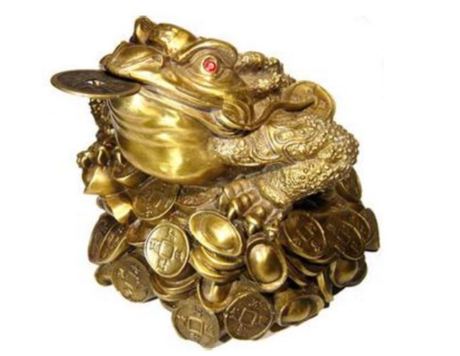 睁眼睡觉的生肖，揭秘如何选择并落实正确的