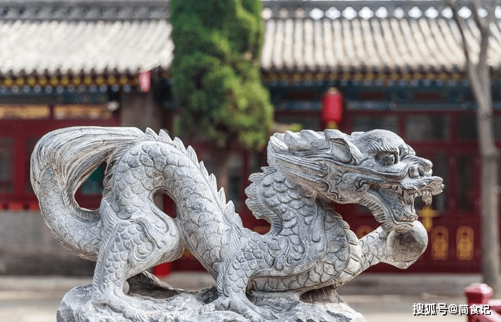 揭秘老态龙钟背后的生肖之谜，揭晓最佳答案并全面解析