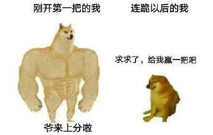 鸡飞狗窜，解密生肖之谜