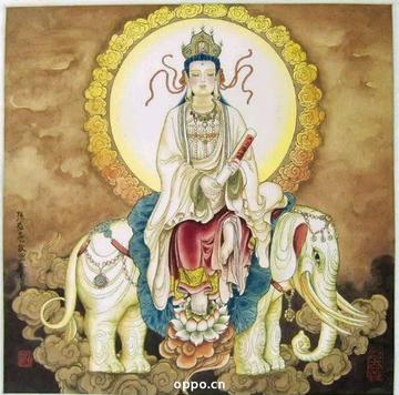 火烧眉毛，生肖中的智慧与战略运用