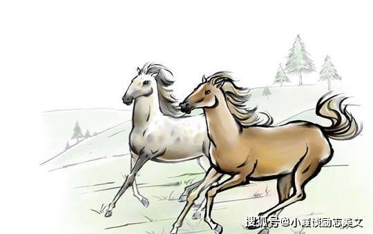 慌不择路打一正确生肖，神秘解释落实