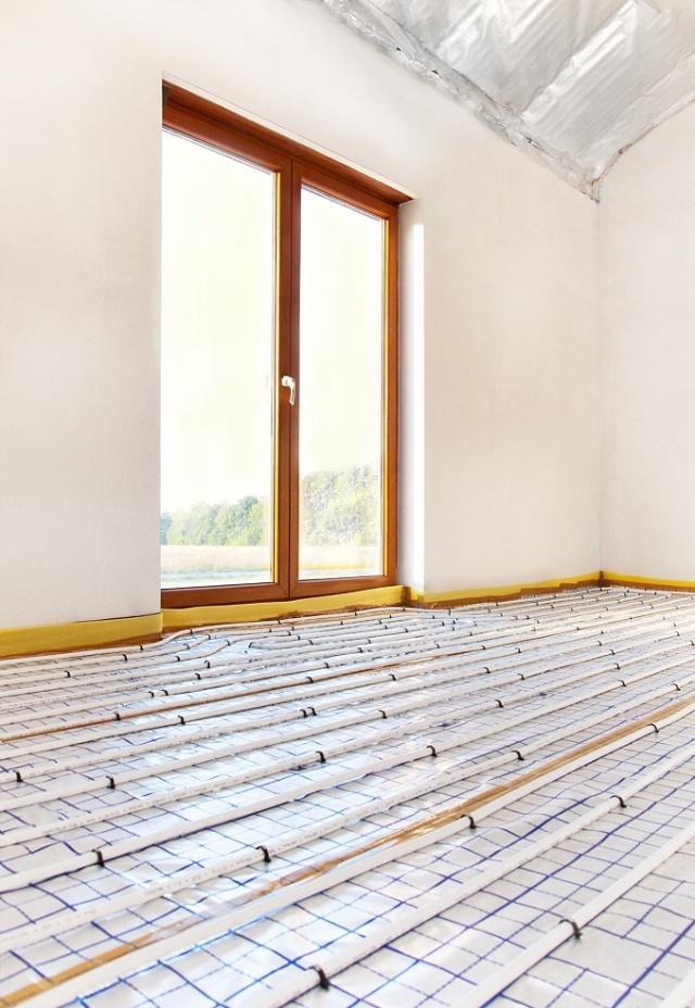 阳光照耀大地暖，生肖之谜的温馨解读