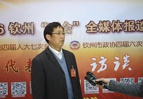 献计献策猜一生肖?的精准解答与落实精神