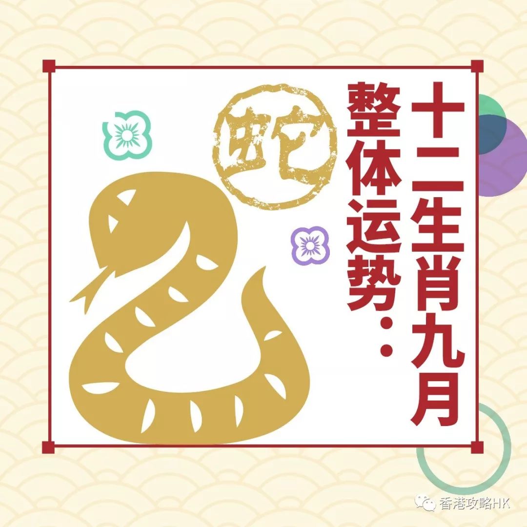 今期生肖蛇虎鸡,背后的坚韧与不屈 今期生肖蛇虎鸡,背后的坚韧与不屈