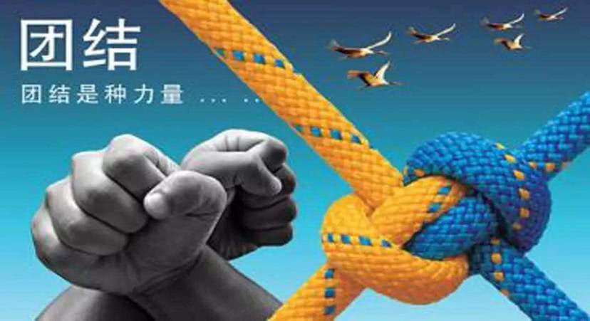 亲密无间猜一动物，团结解释落实