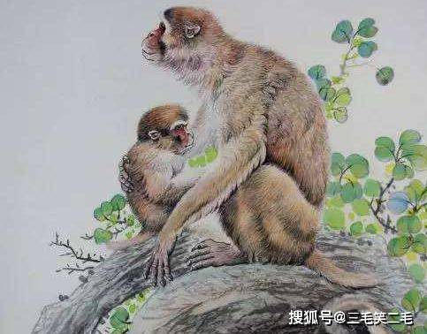 亲密无间打一正确生肖，谁来落实解答？