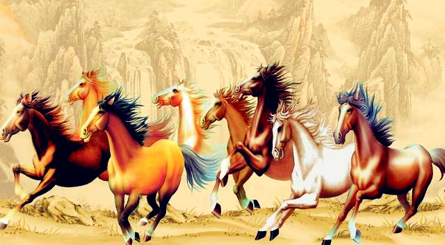 龙马精神开过什么生肖，团结解释落实