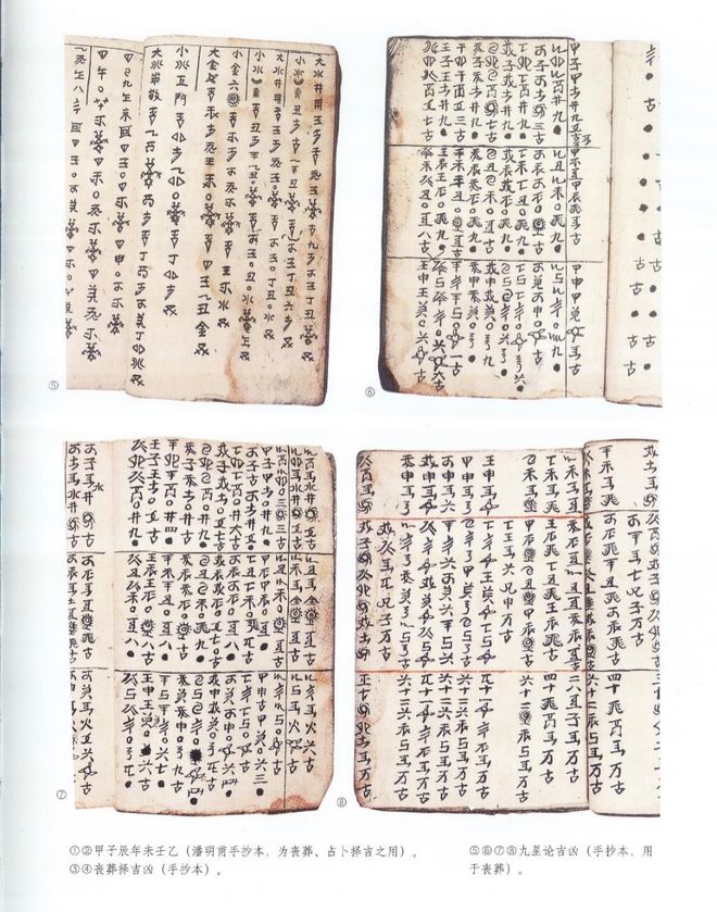 邑犬群吠猜一生肖，解密与文化寓意