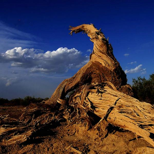 肥田沃地是指什么生肖，奥秘解释落实