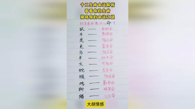 善良的动物，生肖之谜的全面解析