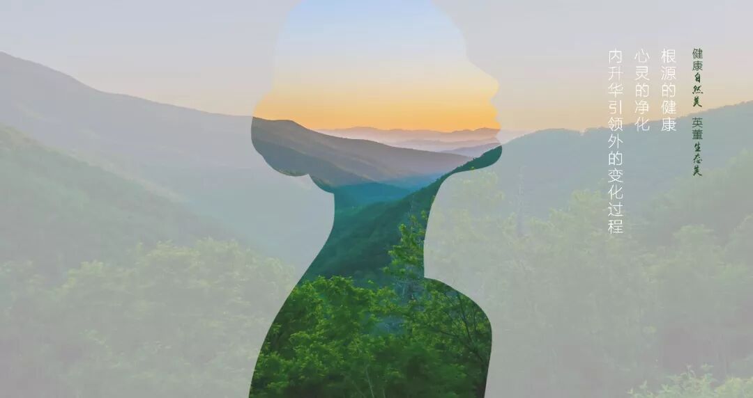 烟雨蒙蒙中的生肖智慧，一场关于自然与人生的深度解析