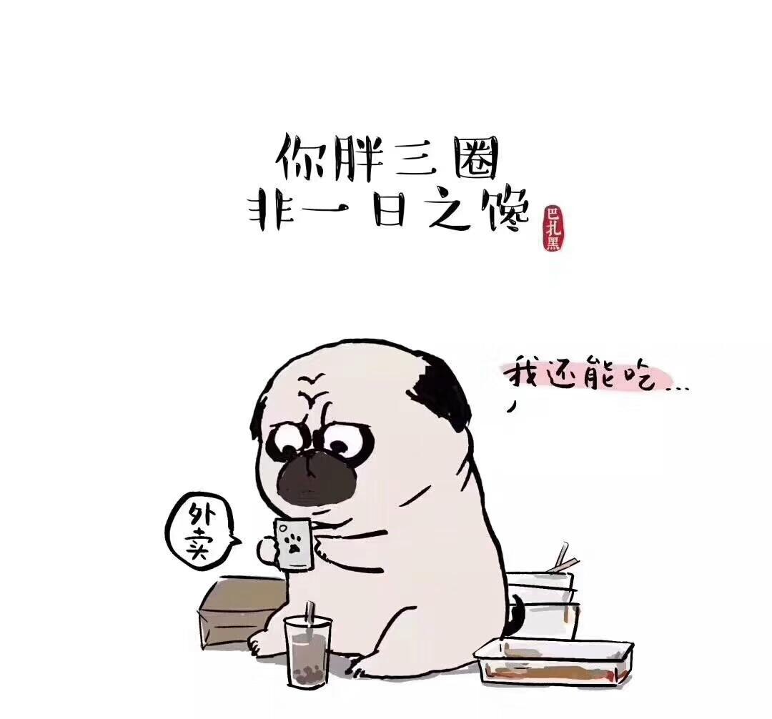 不自量力不认输的生肖，背后的坚韧与不屈