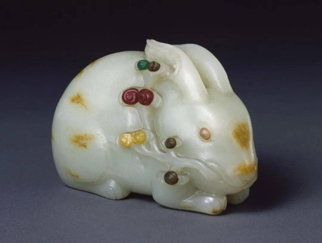 蟾宫玉兔猜一动物?实证解释落实