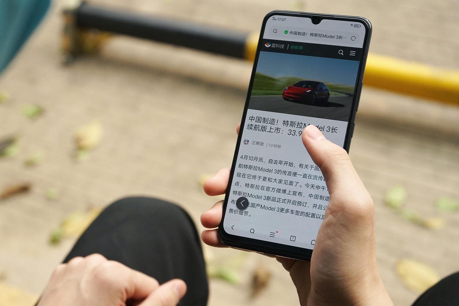 稳扎稳打，生肖动物中的智慧与策略