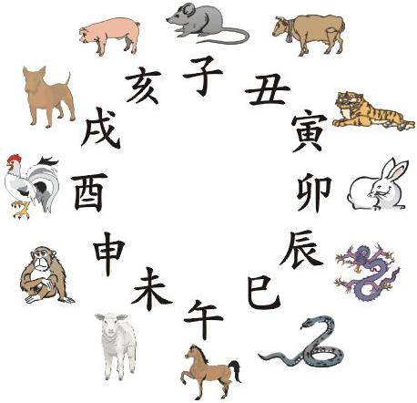 甲乙丙丁对应生肖，佩服作答落实解释