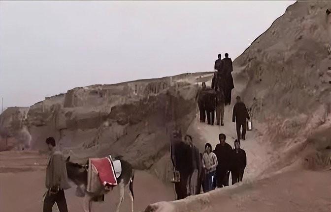 揭秘生肖自刑，传统文化中的神秘与智慧