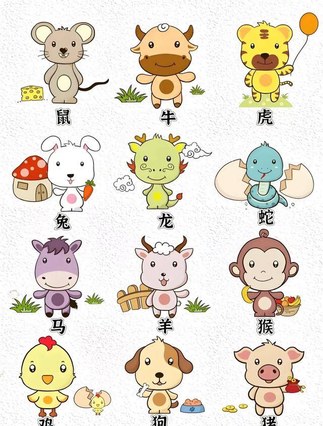 十二生肖图画大全，友爱与文化的完美融合