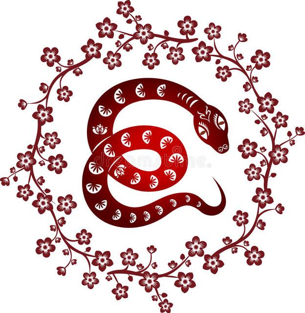 阴险狡猾的生肖，解读与启示