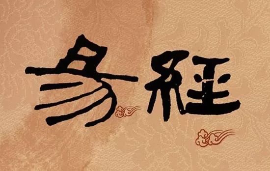 南拳北腿猜一动物，中蕴含的哲理