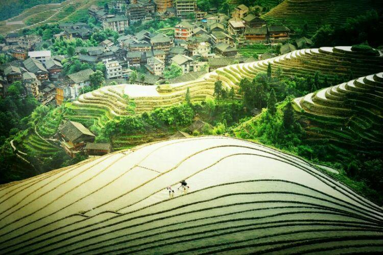 七星伴月猜一生肖，解释与落实的和谐共舞