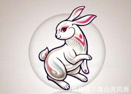 寂寞的生肖，生肖之兔的温馨解读与文化解析