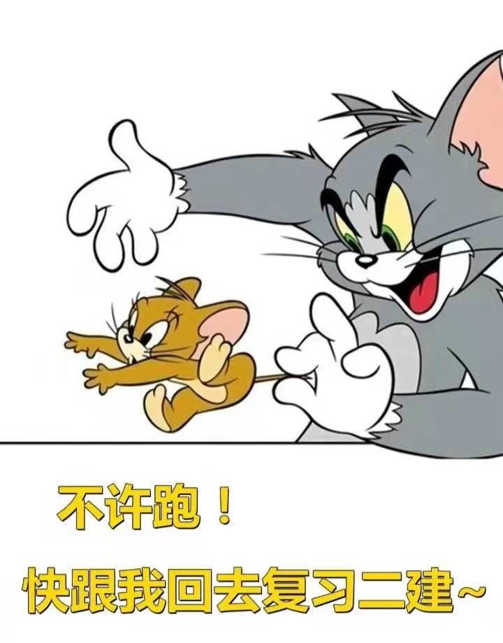 四季忙碌，一肖寓言，探索生肖鼠背后的智慧与哲理