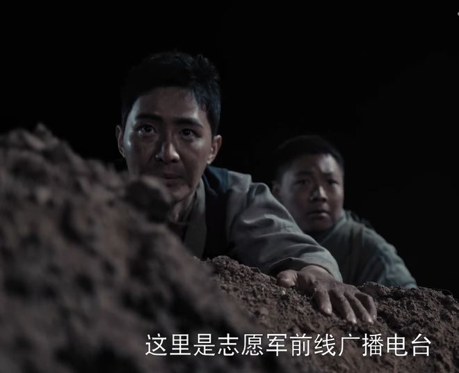 按兵不动的智慧，揭秘静默之狐—狐狸的生存哲学