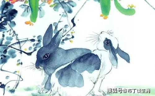 前程似锦的生肖，解析作答落实解释