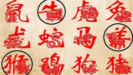 有福之人是什么生肖，绝佳解释落实