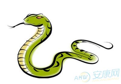 12生肖蛇的故事，揭秘如何选择并落实正确的