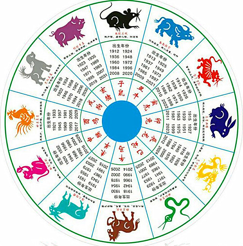 申对应的生肖，正确解释与落实