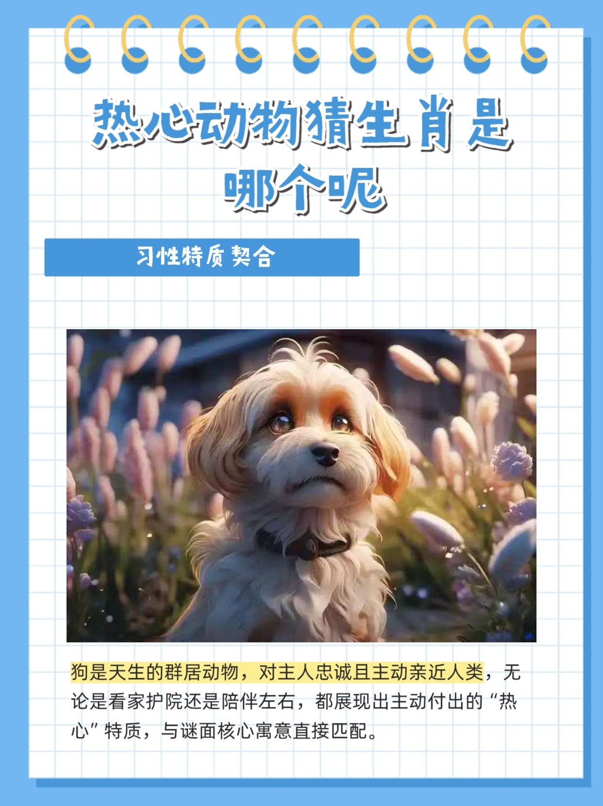 满腔热忱是指什么生肖，的精准解答与落实精神