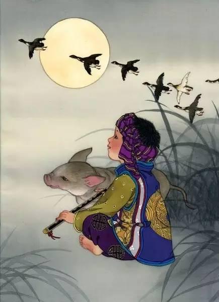 拱字代表什么生肖，的精准解答与落实精神