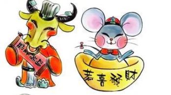 卓识远见，揭秘生肖中的智者—龙