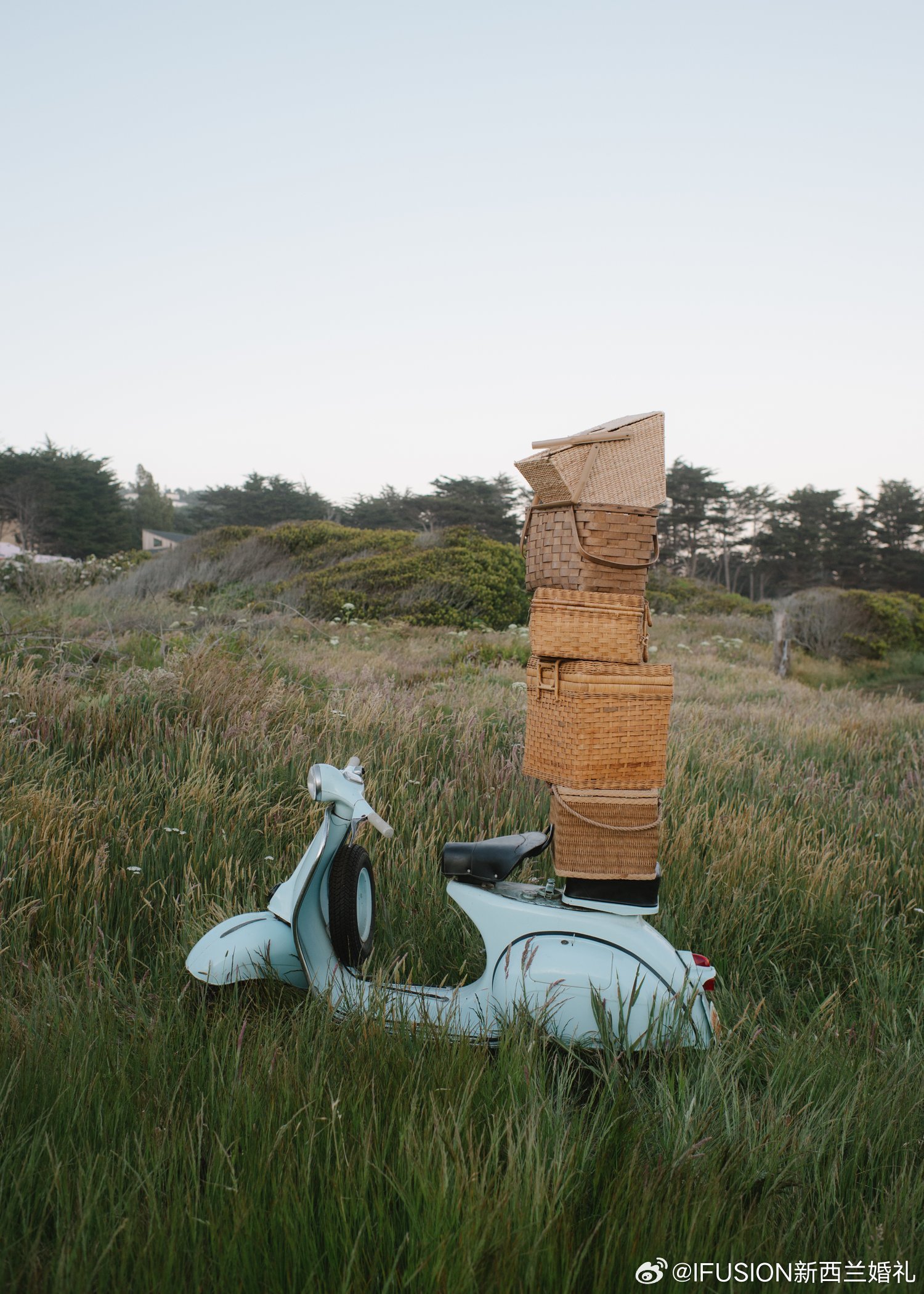 揭秘山上的生肖，自然与文化的奇妙融合